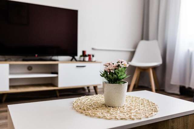 Апартаменты Scandinavian inspired design Вильнюс-3